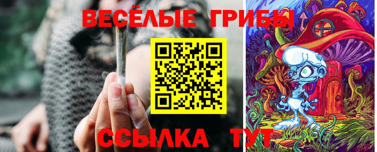 Галлюциногенные грибы Cubensis  Галлюциногенные грибы MAGIC MUSHROOMS  Кстово  Вход с VPN 