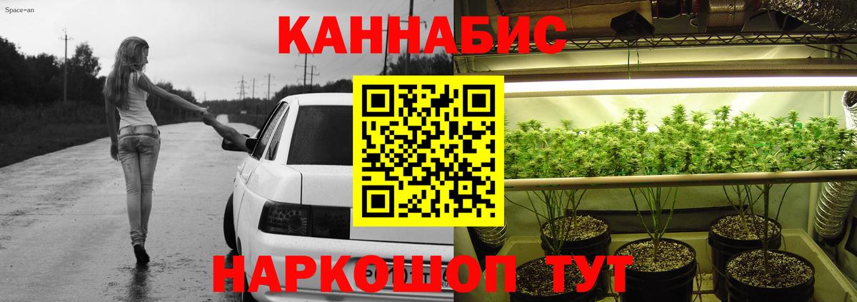 Бошки Шишки SATIVA & INDICA  Конопля Bruce Banner  Кстово  Вход с VPN  Бошки Шишки план 